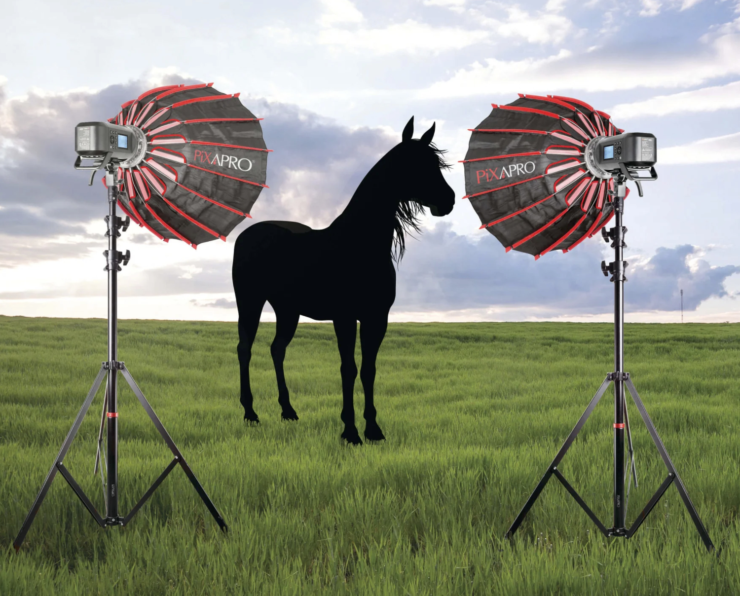 Cheval Flash