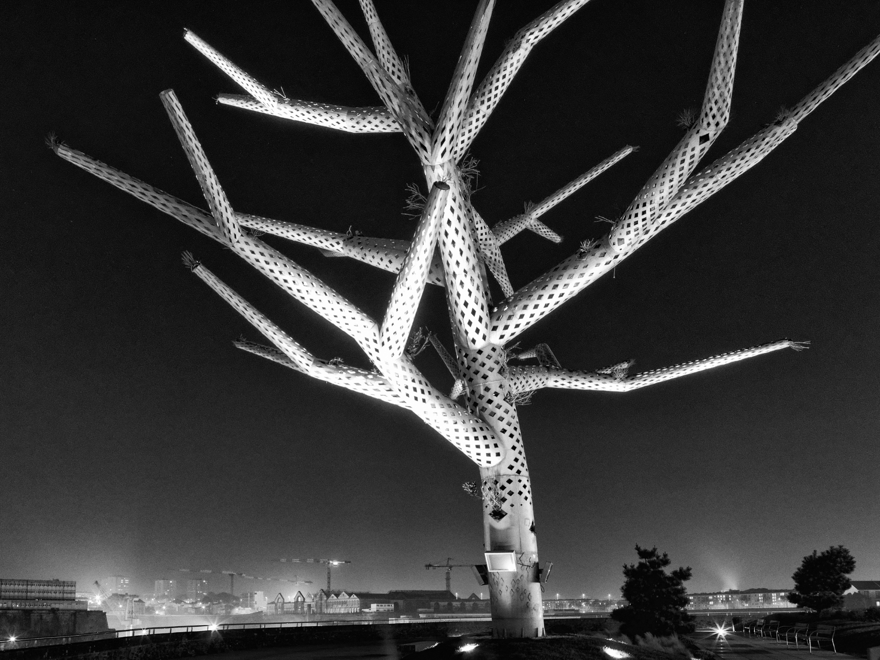 Subli Alu Brillant Brest Arbre